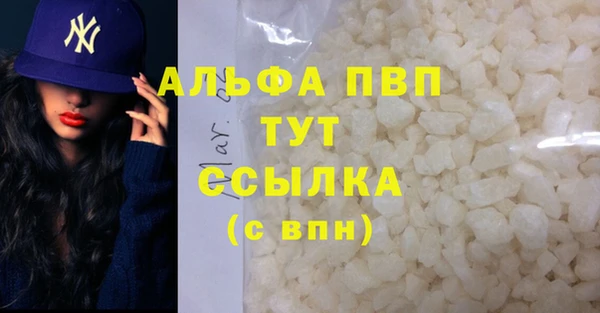 PSILOCYBIN Каменка