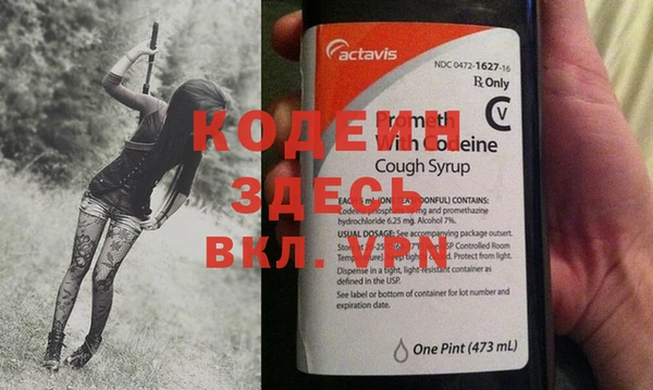 PSILOCYBIN Каменка
