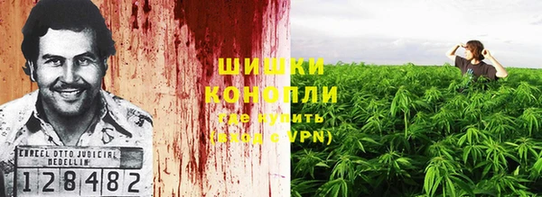 PSILOCYBIN Каменск-Шахтинский