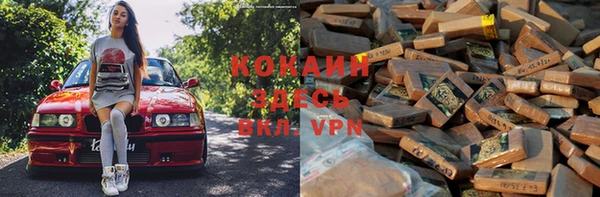 PSILOCYBIN Каменка