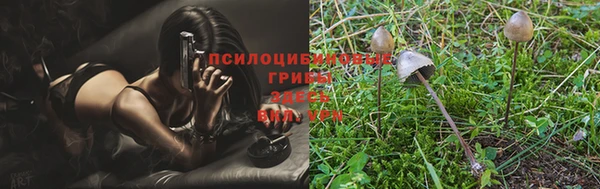 кокс Каменногорск